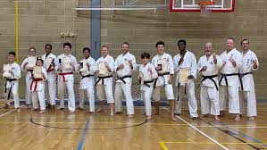 Image result for Kenshukai Karate