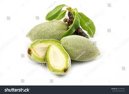 Image result for fresh green almonds