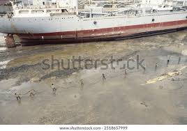 Image result for alang