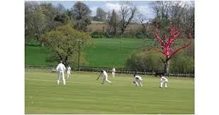 Image result for Cornwood Cricket Club