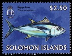 Image result for Thunnus obesus