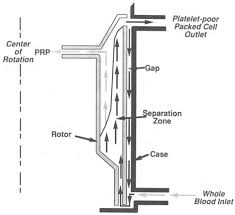 Image result for Autopheresis C