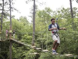 Image result for Go Ape! Grizedale