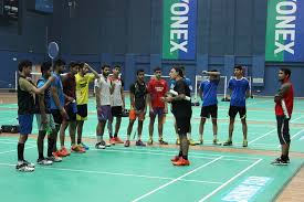 Image result for Higman (Tv) Badminton Academy Badminton Club
