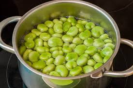 Image result for Dicke Bohnen