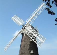 Image result for Octopushy (Croydon Area)