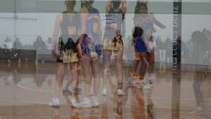 Image result for BRENTWOOD NETBALL CLUB