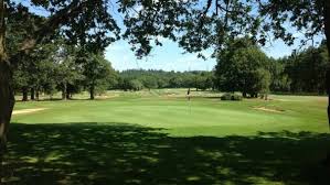Image result for Betchworth Park Golf Club