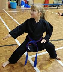 Image result for Ipswich Judo Club
