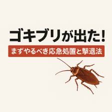 Image result for ゴキブリ報告所