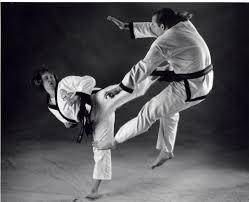 Image result for Epsom and Leatherhead Martial Arts