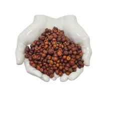 Attēlu rezultāti vaicājumam “Arctostaphylos uva-ursi fruit”