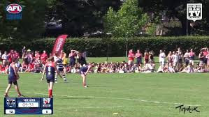 Image result for West London Wildcats