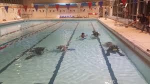Image result for Teddington Sub-Aqua Club