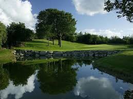Image result for Carlow Golf Club