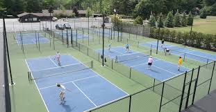 Image result for PICKLEBALL GORLESTON