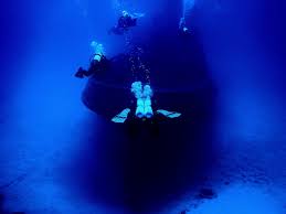 Image result for Coventry Triads Octopush Club