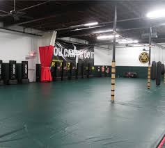 Image result for Norfolk Karate