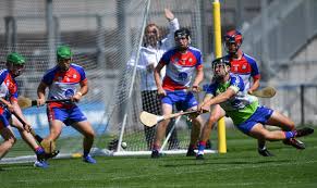 Image result for hurling