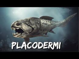 Attēlu rezultāti vaicājumam “Placodermi”