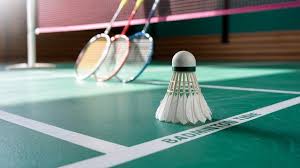 Image result for Active Lives Badminton Club