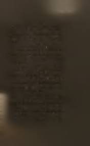 Attēlu rezultāti vaicājumam “Lycogala ustulatum”