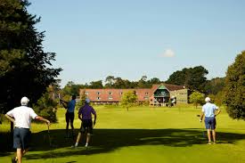 Image result for Suffolk Adventure Golf