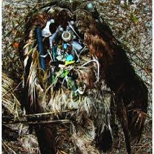 Image result for albatross dead chick