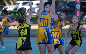 Image result for Leapoole Netball Club