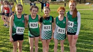 Image result for Ballymena Runners