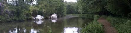 Image result for Weybridge Angling