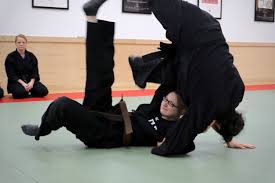 Image result for Bujinkan Plymouth Dojo