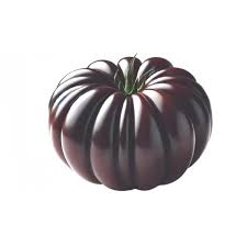 Afbeeldingsresultaat voor purple calabash tomato