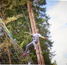 Image result for The Go Ape Experience (Delamere Forest)