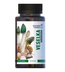 Attēlu rezultāti vaicājumam “Phallus impudicus”