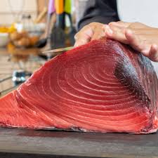 Image result for giant tuna