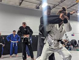 Image result for West Jordan Martial Arts Dojo