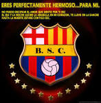 Imagenes De La Sur Oscura Barcelona Sc