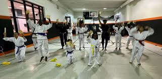 Image result for Mobile Martial Arts Community Interest Company