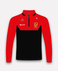 Image result for Moycarkey-Borris Gaa Club