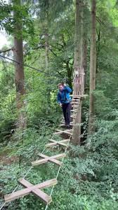 Image result for Go Ape! Grizedale
