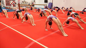 Image result for Halifax Sports Acro Gymnastics Club