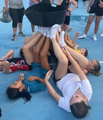 Image result for Phoenix Netball Club