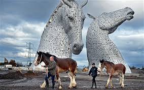 Image result for Scottish Equi Complex