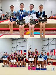 Image result for Bristol Hawks Gymnastics Club