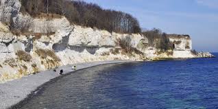 Image result for stevns klint