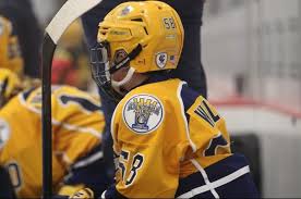 Image result for Northwich Predators