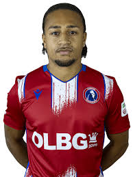 Image result for Dorking Football Club Limited