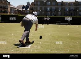 Image result for Island Bohemian Bowls Club