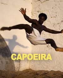 Image result for Brazilian-martial arts